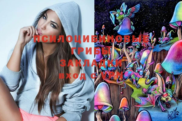ПСИЛОЦИБИНОВЫЕ ГРИБЫ Алзамай