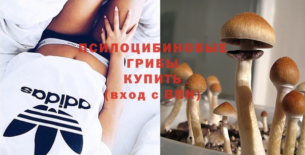 таблы Алексин